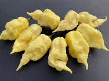Load image into Gallery viewer, White Ghost Scorpion Mix (Bumpy, XL, & Meringue) (Pepper Seeds)
