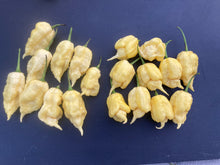 Load image into Gallery viewer, White Ghost Scorpion Mix (Bumpy, XL, & Meringue) (Pepper Seeds)