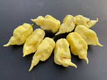 Load image into Gallery viewer, White Ghost Scorpion Mix (Bumpy, XL, & Meringue) (Pepper Seeds)