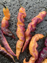 Load image into Gallery viewer, Tiger Murupi Purple Peach (Pepper Seeds)