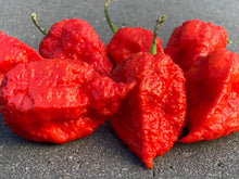 Load image into Gallery viewer, Red Inception (Pepper Seeds)