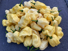 Load image into Gallery viewer, White Ghost Scorpion Mix (Bumpy, XL, & Meringue) (Pepper Seeds)