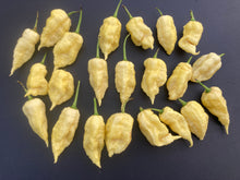 Load image into Gallery viewer, White Ghost Scorpion Mix (Bumpy, XL, & Meringue) (Pepper Seeds)