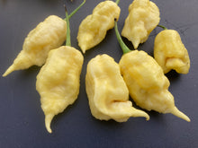 Load image into Gallery viewer, White Ghost Scorpion Mix (Bumpy, XL, & Meringue) (Pepper Seeds)