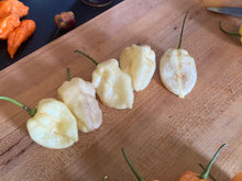 Load image into Gallery viewer, Purple Uprising White (Pepper Seeds)
