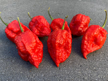 Load image into Gallery viewer, Red Inception (Pepper Seeds)