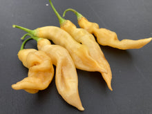 Load image into Gallery viewer, Sugar Rush Peach Improved (Pepper Seeds)