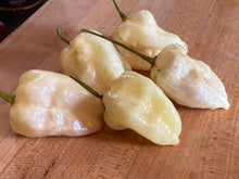 Load image into Gallery viewer, Purple Uprising White (Pepper Seeds)