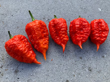 Load image into Gallery viewer, Red Inception (Pepper Seeds)
