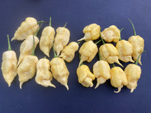 Load image into Gallery viewer, White Ghost Scorpion Mix (Bumpy, XL, & Meringue) (Pepper Seeds)