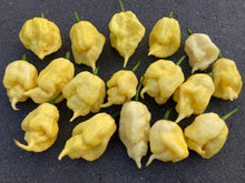 Load image into Gallery viewer, White Ghost Scorpion Mix (Bumpy, XL, & Meringue) (Pepper Seeds)