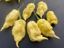 Load image into Gallery viewer, White Ghost Scorpion Mix (Bumpy, XL, & Meringue) (Pepper Seeds)
