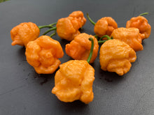 Load image into Gallery viewer, “Repo Mang” (BOC X Reaper OG3) (Pepper Seeds)