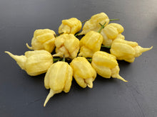 Load image into Gallery viewer, White Ghost Scorpion Mix (Bumpy, XL, & Meringue) (Pepper Seeds)