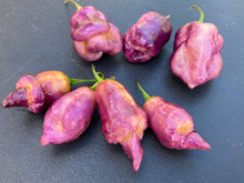 Load image into Gallery viewer, Taj Mahal Pink/Peach (Pepper Seeds)