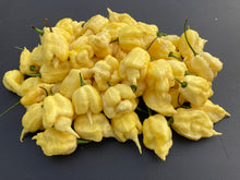 Load image into Gallery viewer, White Ghost Scorpion Mix (Bumpy, XL, & Meringue) (Pepper Seeds)