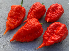 Load image into Gallery viewer, Red Inception (Pepper Seeds)