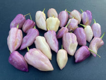 Load image into Gallery viewer, Purple Uprising White (Pepper Seeds)