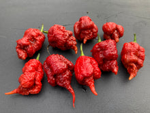 Load image into Gallery viewer, Tiberius Mauler Caramel (Pepper Seeds)