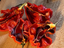 Load image into Gallery viewer, Purple BhutWrecker (Pepper Seeds)