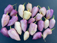 Load image into Gallery viewer, Purple Uprising White (Pepper Seeds)