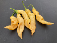 Load image into Gallery viewer, Sugar Rush Peach Improved (Pepper Seeds)
