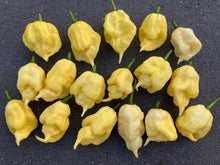 Load image into Gallery viewer, White Ghost Scorpion Mix (Bumpy, XL, & Meringue) (Pepper Seeds)