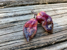 Load image into Gallery viewer, PJ XD (Pepper Seeds) (Pimenta Jolokia)