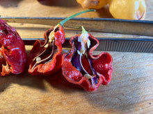 Load image into Gallery viewer, Purple BhutWrecker (Pepper Seeds)