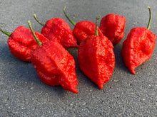 Load image into Gallery viewer, Red Inception (Pepper Seeds)