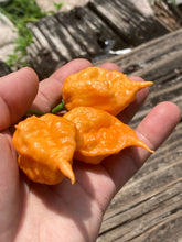 Load image into Gallery viewer, 7 Pot Douglah Peachy (Pepper Seeds)