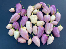 Load image into Gallery viewer, Purple Uprising White (Pepper Seeds)