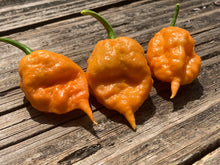 Load image into Gallery viewer, 7 Pot Douglah Peachy (Pepper Seeds)