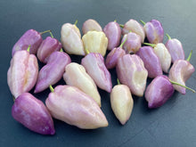 Load image into Gallery viewer, Purple Uprising White (Pepper Seeds)