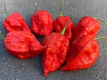 Load image into Gallery viewer, Red Inception (Pepper Seeds)