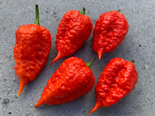 Load image into Gallery viewer, Red Inception (Pepper Seeds)