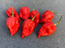 Load image into Gallery viewer, Red Inception (Pepper Seeds)