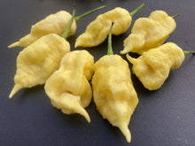 Load image into Gallery viewer, White Ghost Scorpion Mix (Bumpy, XL, & Meringue) (Pepper Seeds)