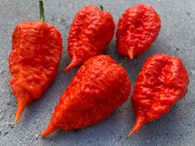 Load image into Gallery viewer, Red Inception (Pepper Seeds)
