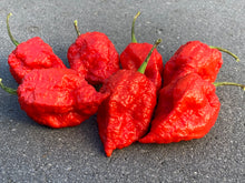 Load image into Gallery viewer, Red Inception (Pepper Seeds)