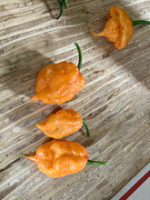 Load image into Gallery viewer, 7 Pot Douglah Peachy (Pepper Seeds)