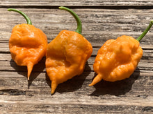Load image into Gallery viewer, 7 Pot Douglah Peachy (Pepper Seeds)