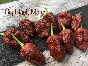 Big Black Mama (Pepper Seeds)