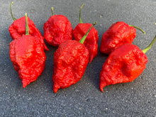Load image into Gallery viewer, Red Inception (Pepper Seeds)