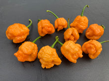 Load image into Gallery viewer, “Repo Mang” (BOC X Reaper OG3) (Pepper Seeds)