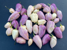 Load image into Gallery viewer, Purple Uprising White (Pepper Seeds)