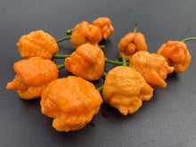 Load image into Gallery viewer, “Repo Mang” (BOC X Reaper OG3) (Pepper Seeds)