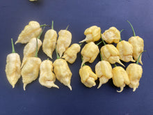 Load image into Gallery viewer, White Ghost Scorpion Mix (Bumpy, XL, & Meringue) (Pepper Seeds)