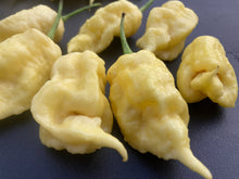 Load image into Gallery viewer, White Ghost Scorpion Mix (Bumpy, XL, & Meringue) (Pepper Seeds)