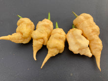 Load image into Gallery viewer, Tiberius Mauler Peach (Pepper Seeds)